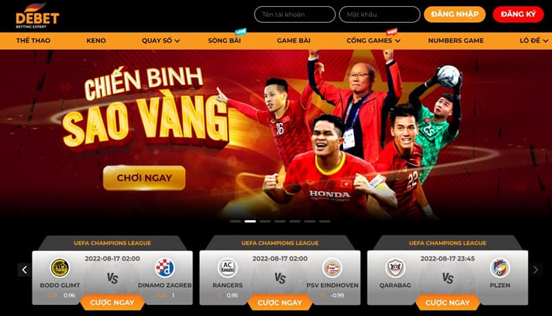 Chiến lược phát triển bền vững của giới thiệu Debet
